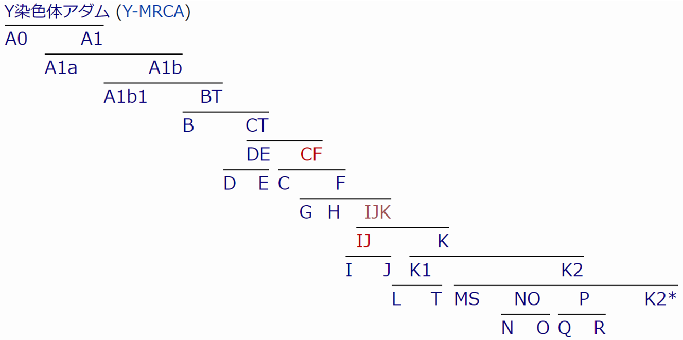 言語系統をハプログループ y染色体 ミトコンドリアdna で辿る 語族と遺伝子の関係 easy word power